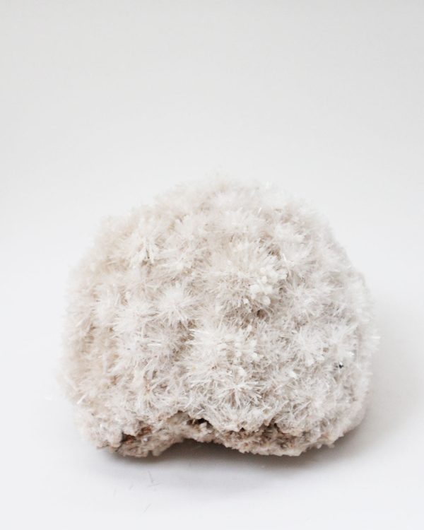 Gypsum Var:Selenite