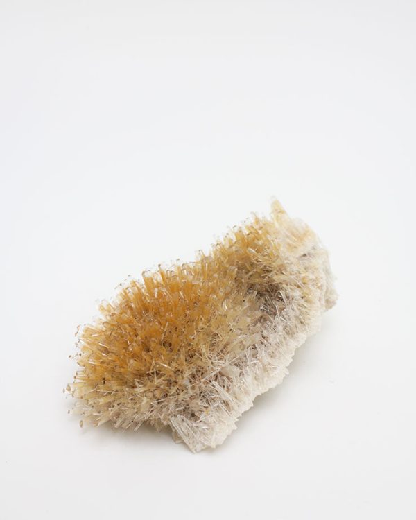 Gypsum Selenite