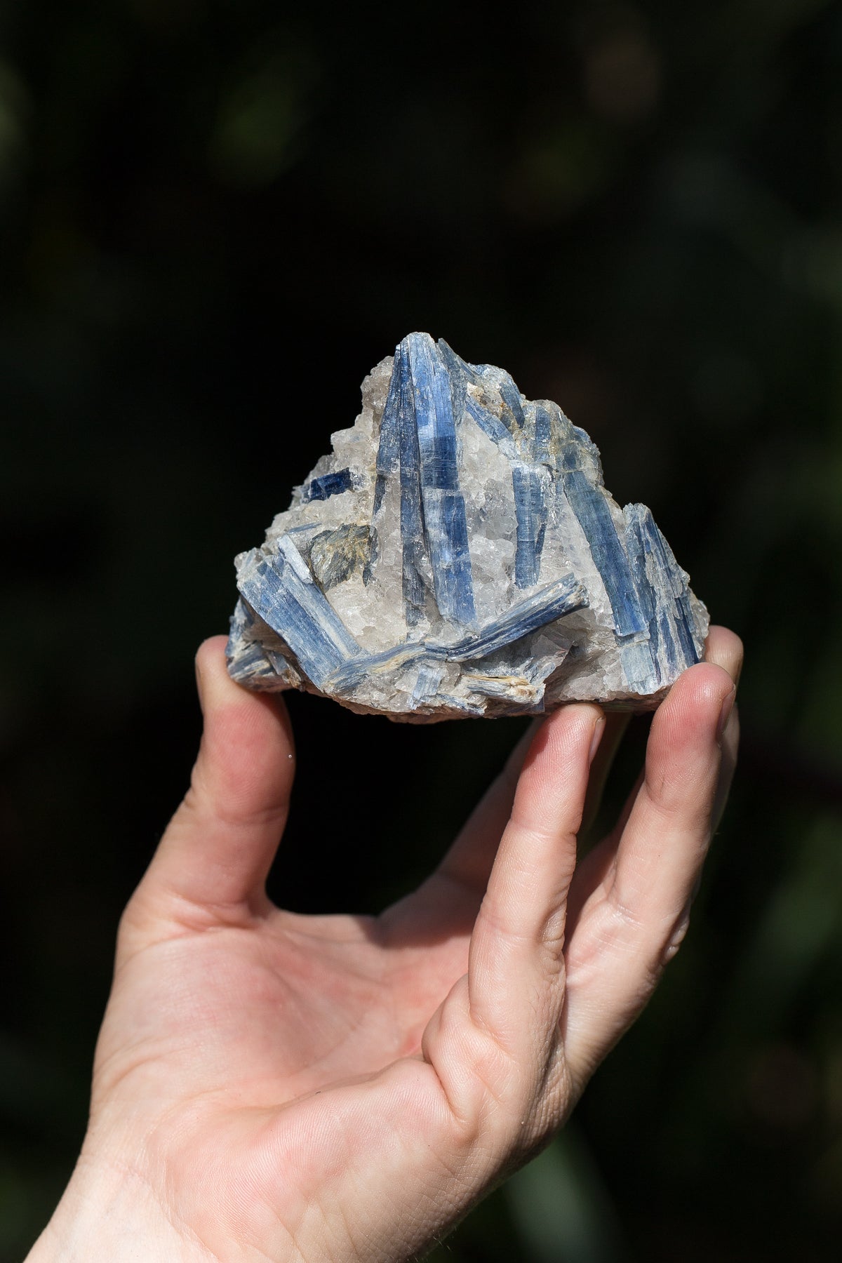 FACET Collections _Blue Kyanite